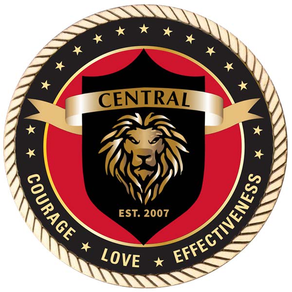 Custom coin request fillable form 002 5